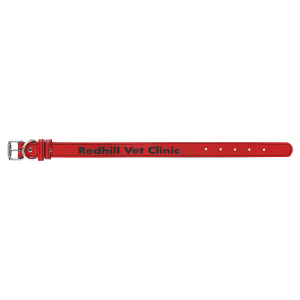 Medium 19" x 1" Red Laserable Leatherette Dog Collar